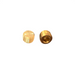 brass_20nut_20edited.png